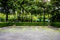 Empty Space in a Parking Lot with flower falling. Parking car with left wall.Parking lane outdoor in public park.