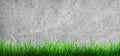 Plaster concrete wall grunge texture background with green grass. Royalty Free Stock Photo