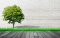 Empty space room of Green tree growth in white brick wall and wooden floor. Royalty Free Stock Photo