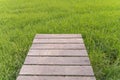 Empty space of wood bridge floor with fresh paddy rice, green agricultural field in countryside or rural area in Asia. Nature Royalty Free Stock Photo