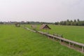 Empty space of wood bridge floor with fresh paddy rice, green agricultural field in countryside or rural area in Asia. Nature Royalty Free Stock Photo