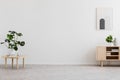 Empty space for your sofa in real photo of bright living room interior with fresh plants, simple poster and books on wooden cupboa