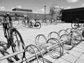 Black and white bicycles in cycle parking lot