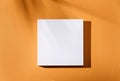 Empty square podium with tropical palm tree shadow background. Orange thanksgiving minimal flat lay frame poster. Abstract trendy