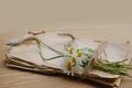 empty stack of old rustic paper torn off edges tied with coarse hemp twine, sentimental rustic memories decorated with cute