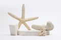 Empty stack of stones platform, stones, starfish podium on light gray background. Minimal empty display product presentation scene
