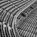 Empty stadium seats Royalty Free Stock Photo