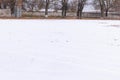 Empty stadium, treadmill, paved, with markings for runner athletes. In winter in snowy weather