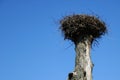 An empty stork nest against a blue sky awaiting the arrival of storks in spring Royalty Free Stock Photo