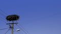 Empty stork nest made with branches at the top of an electrical tower on a blue sky background Royalty Free Stock Photo