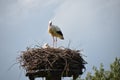 Empty storks nest blue sky Royalty Free Stock Photo