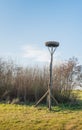 Empty storks nest on a wooden pole