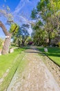 Empty straight earthy stone path getting lost in background among green grass and trees Royalty Free Stock Photo