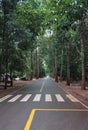 Empty straight road in the jungle of cambodia. Rain forest with high green trees. Royalty Free Stock Photo