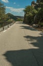 Road through rocky cliffs covered by trees Royalty Free Stock Photo