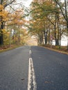 Empty straight rural asphalt road during autumn with colorful trees and foggy atmosphere Royalty Free Stock Photo