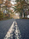 Empty straight rural asphalt road during autumn with colorful trees and foggy atmosphere Royalty Free Stock Photo