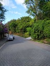 Empty street early in the morning in Ilhabela city, SP, Brazil.