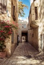 Empty street of Jerusalem, Olive Mountain, Israel