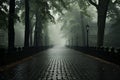 an empty street lined with trees in the fog