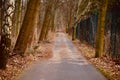 An empty streets around a forest area in Berlin Royalty Free Stock Photo