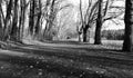 An empty streets around a national park in Berlin Germany Royalty Free Stock Photo