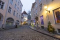 Famous street in Tallin with Christmas tree