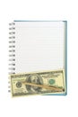 Empty strip line notebook with twisted gold pen over 100 dollar note