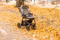 empty stroller in autumn park Royalty Free Stock Photo