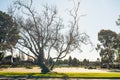 Empty student parking lot close to Santa Maria  college, California, during the temporary shut down Royalty Free Stock Photo