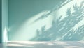 Empty studio corner with pastel blue-green walls and concrete floor. Leaf shadows cast by sunlight create natural overlay effect. Royalty Free Stock Photo