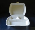 Empty styrofoam container for food