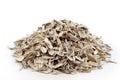 Empty sunflower seeds Royalty Free Stock Photo