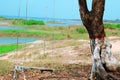 Empty swing with amazing view of beautiful Kaptai Lake caves, Rangamati, Bangladesh Royalty Free Stock Photo