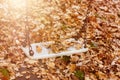 Empty swing with leaves in the autumn season Royalty Free Stock Photo