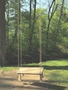 Empty swing in the park - mysterious scenery