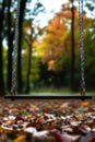 Empty swing in vibrant autumn forest with colorful leaves and blurred background Royalty Free Stock Photo