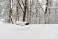 Empty swing in a winter park Royalty Free Stock Photo