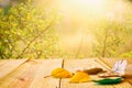 Empty table with dry leaves in front of blurry autumn background. Ready for product display montage Royalty Free Stock Photo