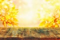 Empty table in front of blurry autumn background. Ready for product display montage Royalty Free Stock Photo