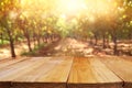 Empty table in front of blurry autumn background. Ready for product display montage Royalty Free Stock Photo