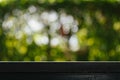 Empty table top wood table with fresh green abstract blurred trees of nature park background and summer season for product Royalty Free Stock Photo