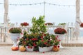 Empty tables and chairs and flower decorations of a restaurant on a terrace overlooking the sea. Cafe with sea view. Nice place to Royalty Free Stock Photo