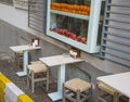 Empty tables and chairs outside of the restaurant in old city. Royalty Free Stock Photo