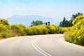 Empty tarmac road with yellow flowers Royalty Free Stock Photo