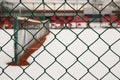 Empty Tennis Courtyard Viewed Through Wired Fence