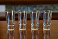 Empty tequila vodka whisky shot glasses on bar counter