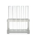Empty test tubes in rack isolated. Laboratory glassware Royalty Free Stock Photo