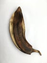 Empty textured peel of a ripe banana. Minimalism. Abstraction. Royalty Free Stock Photo