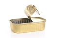 Empty tin Royalty Free Stock Photo